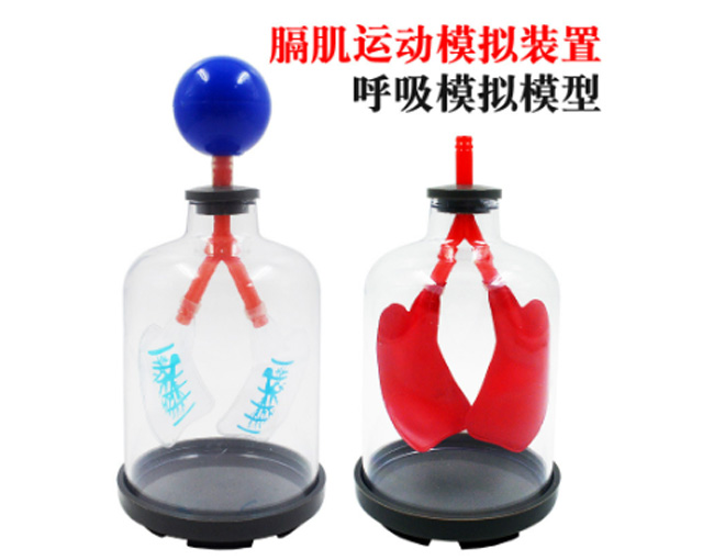 �����\��ģ�M��