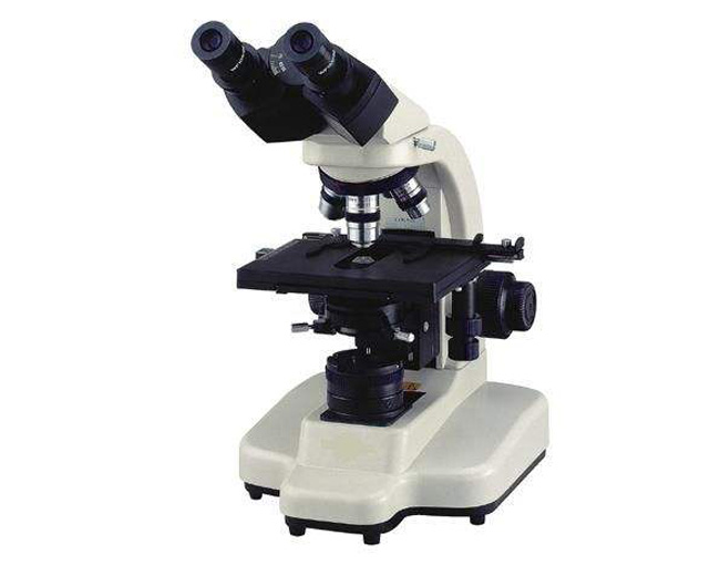 02040�pͲ��1000���������@΢�R